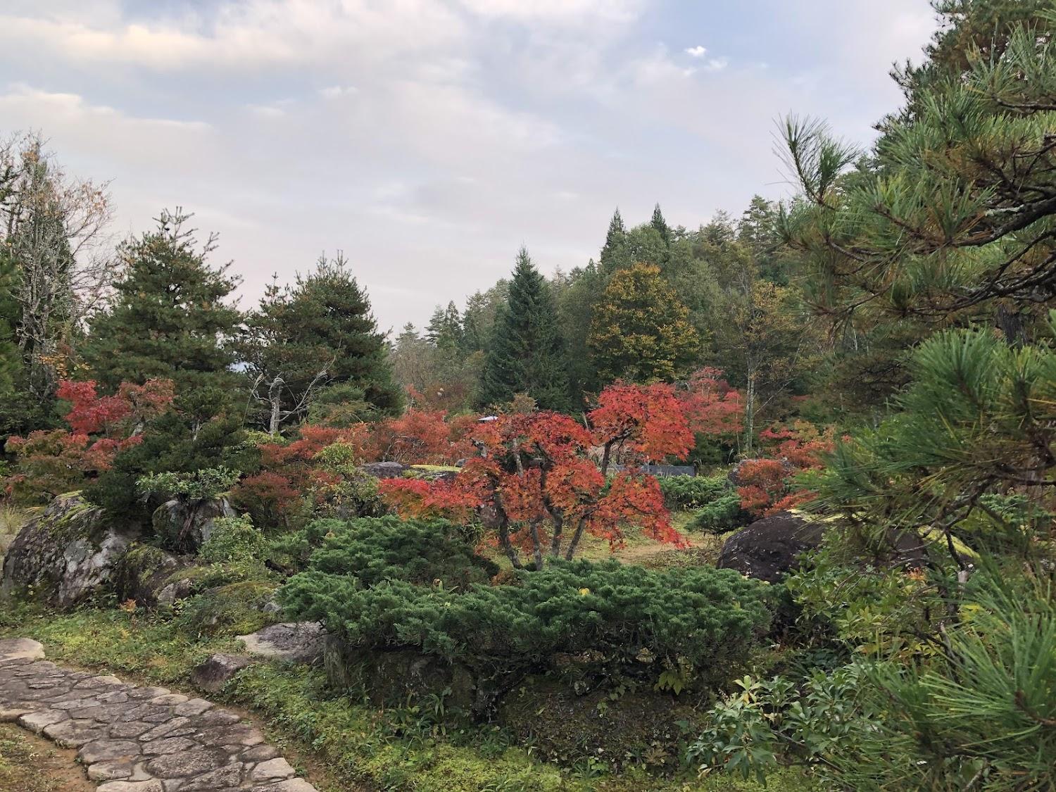 Cover Image for 松柏園