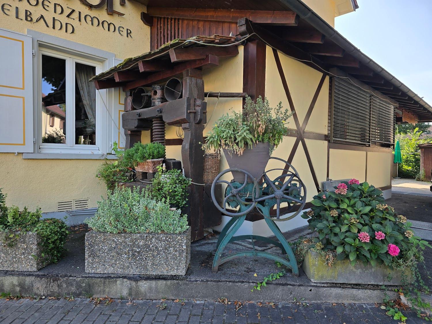 Cover Image for Gasthof zur Traube