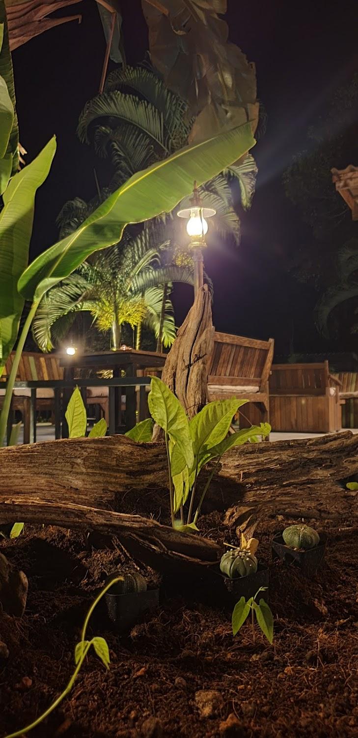 Cover Image for Wave-F Homestay & Restaurant