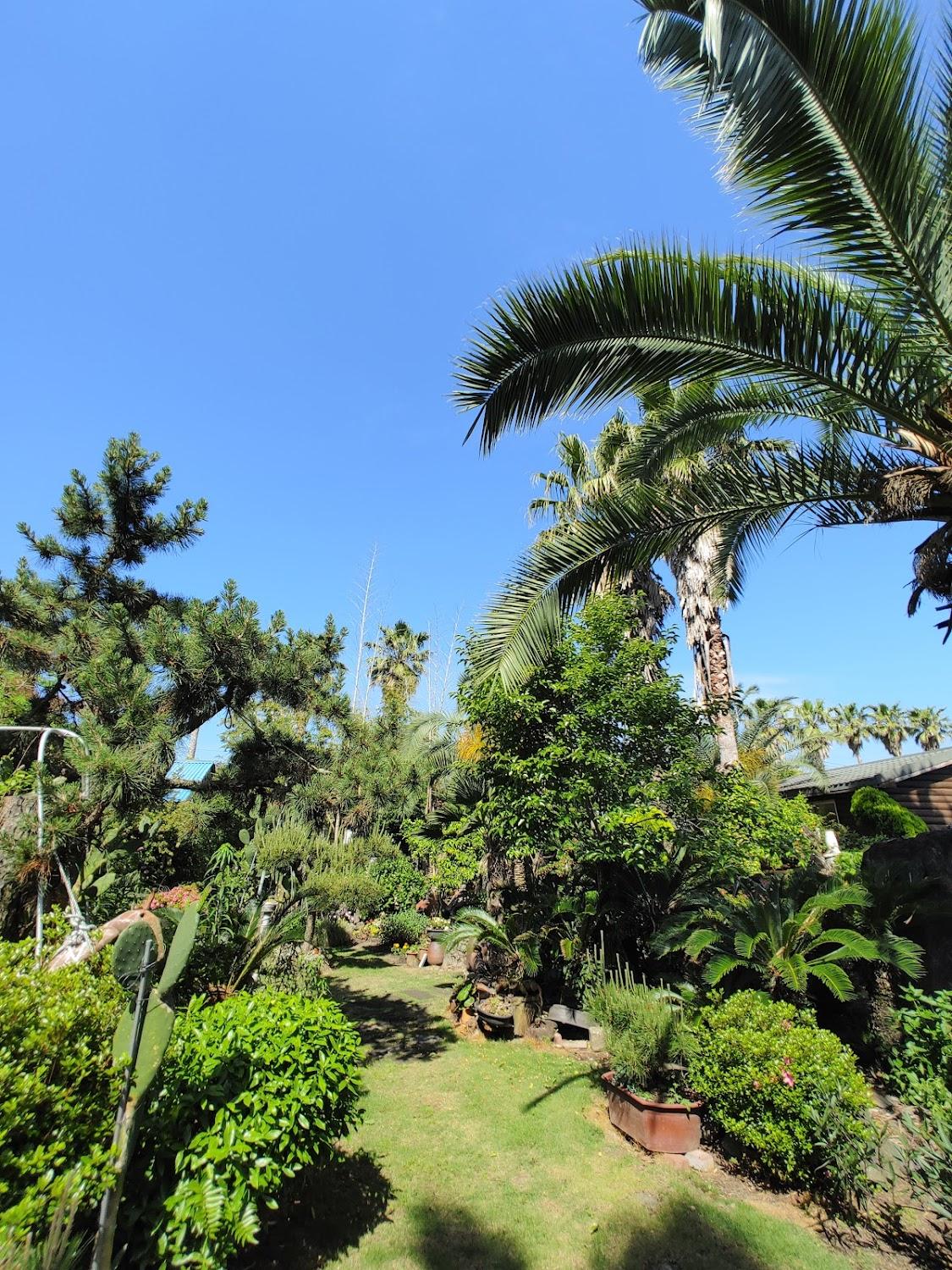 Cover Image for Valley Log Village