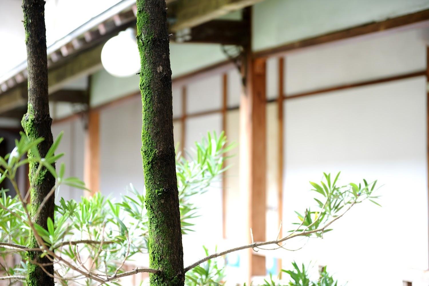 Cover Image for Houwaso