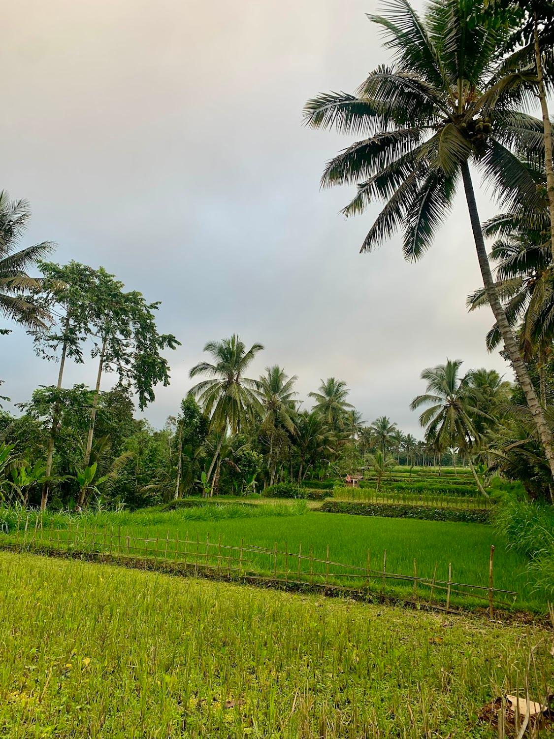 Cover Image for Stay Together Homestay