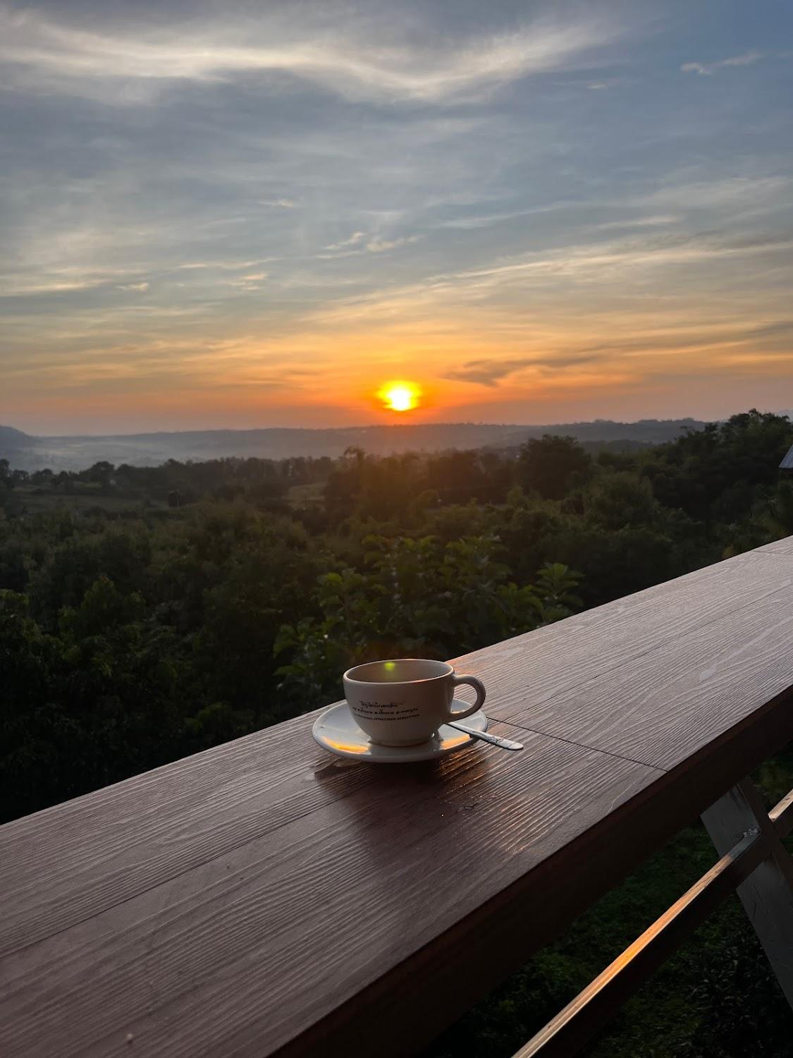 Cover Image for บ้านภูไผ่ ไร่ภูไผ่เบิกตะวัน