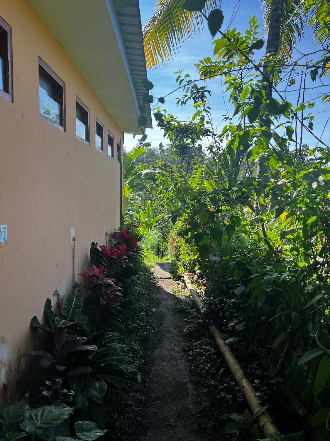 Cover Image for Tetebatu Valley Bungalow
