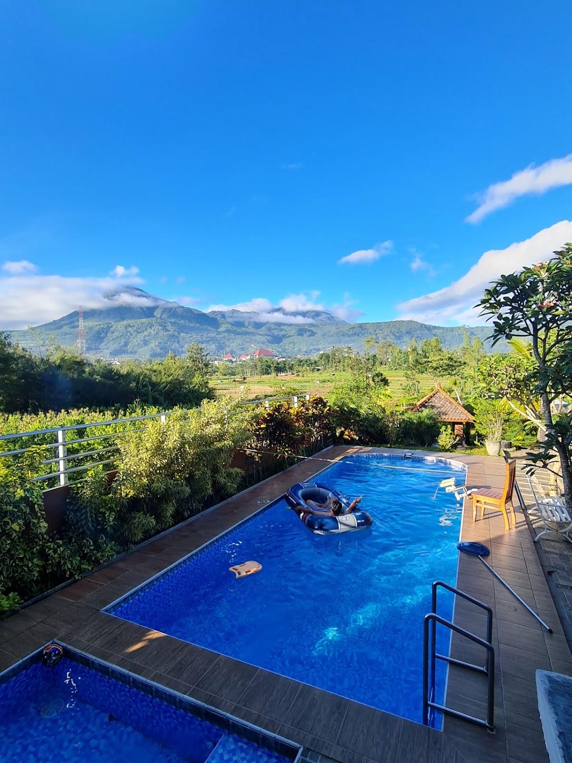 Cover Image for Vila Sawo Kecik