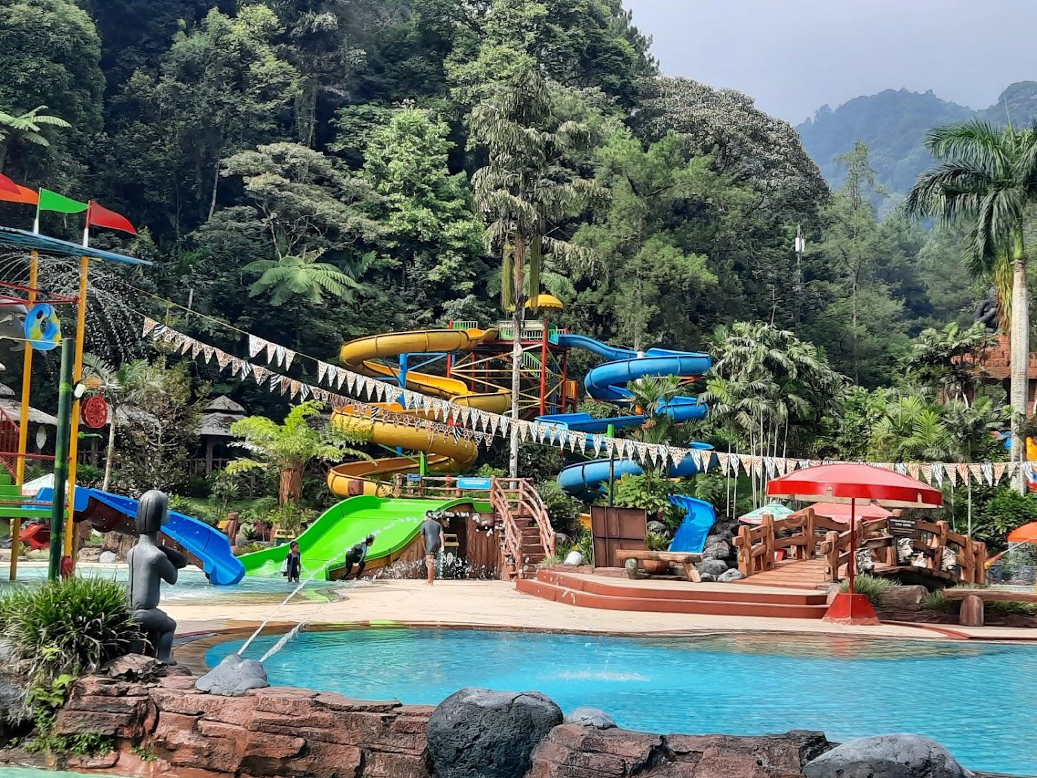 Cover Image for Safari Resort