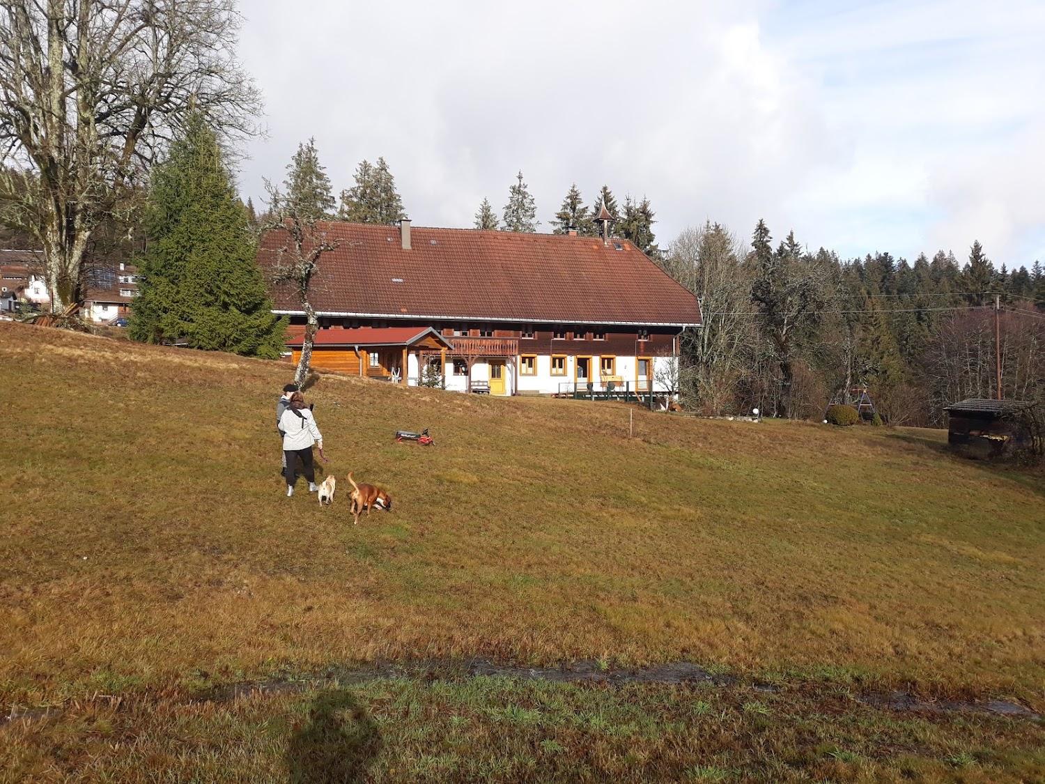 Cover Image for Haus Silvia
