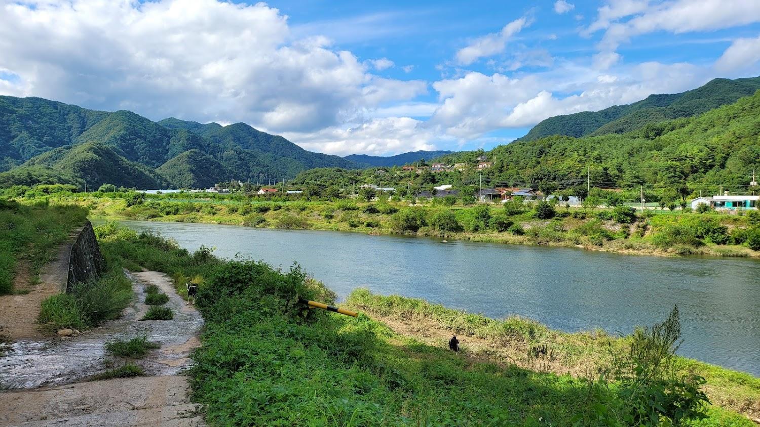 Cover Image for 여울소리