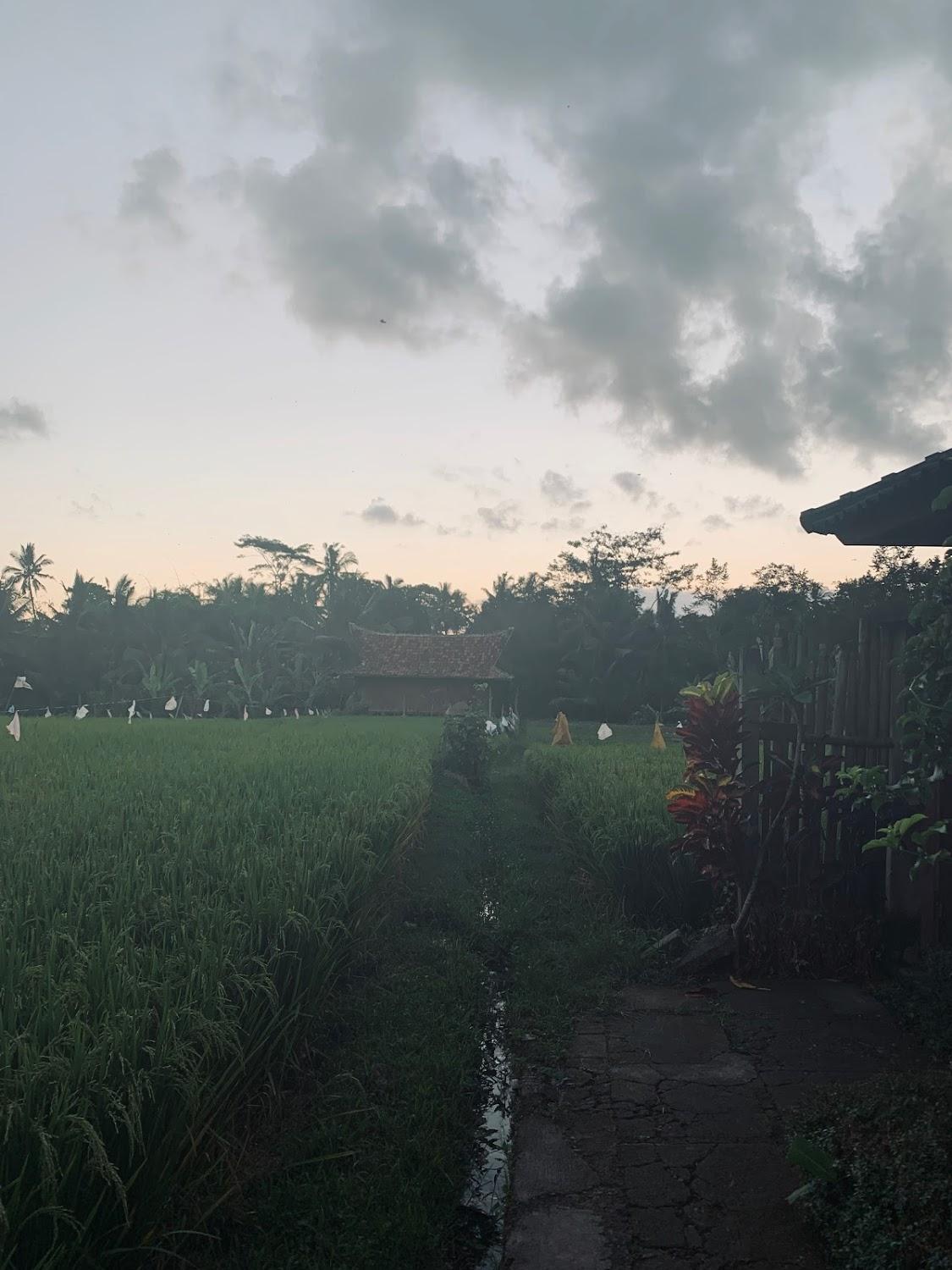 Cover Image for Villa Puspa Sari RedPartner