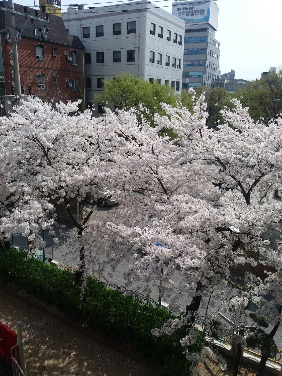 Cover Image for 메인모텔