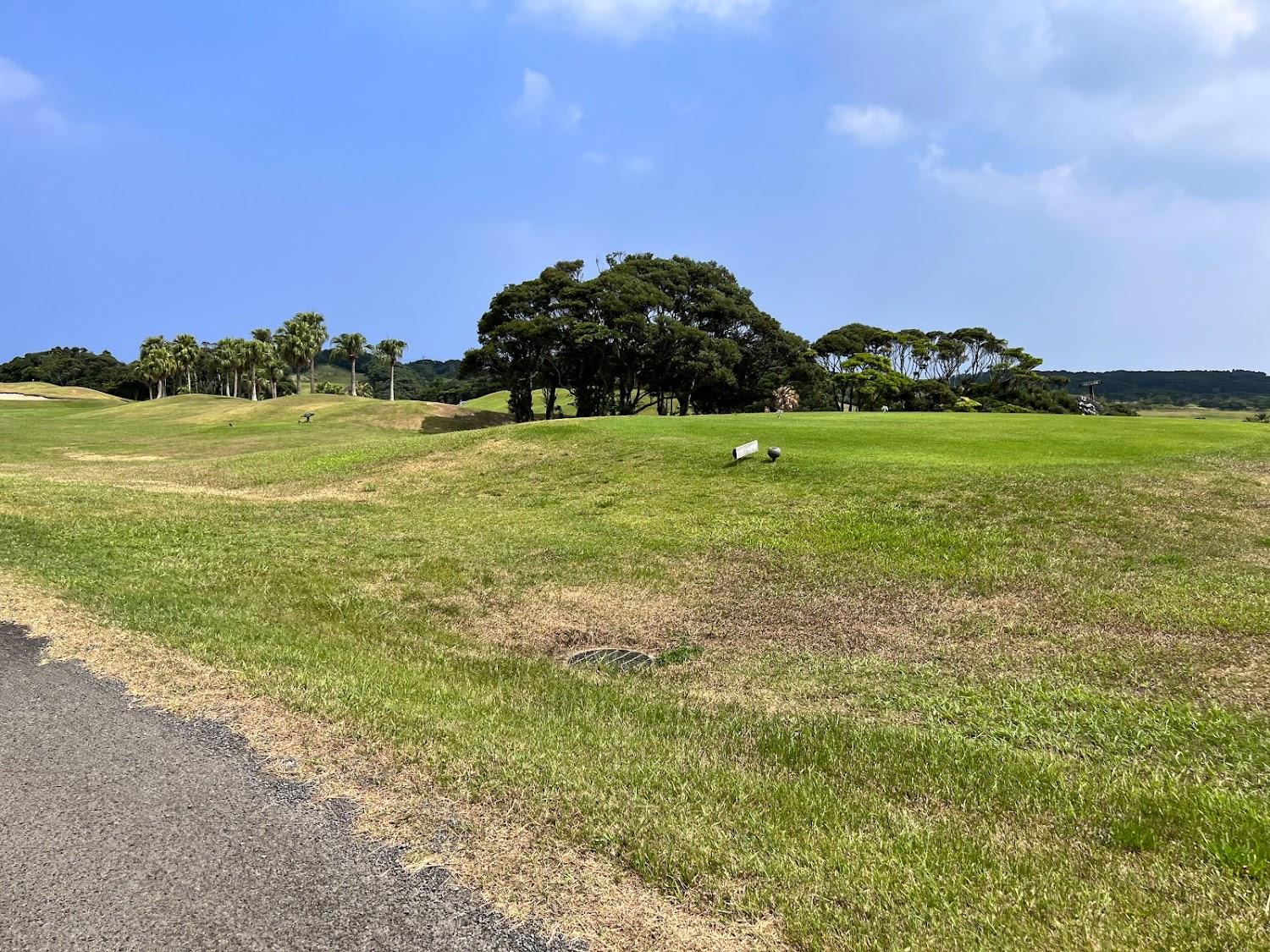 Cover Image for Tanegashima Golf Resort
