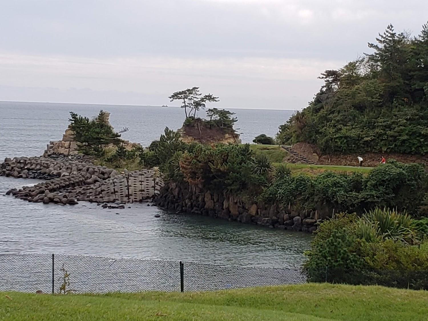 Cover Image for Onahama Ocean Hotel & Golf Club