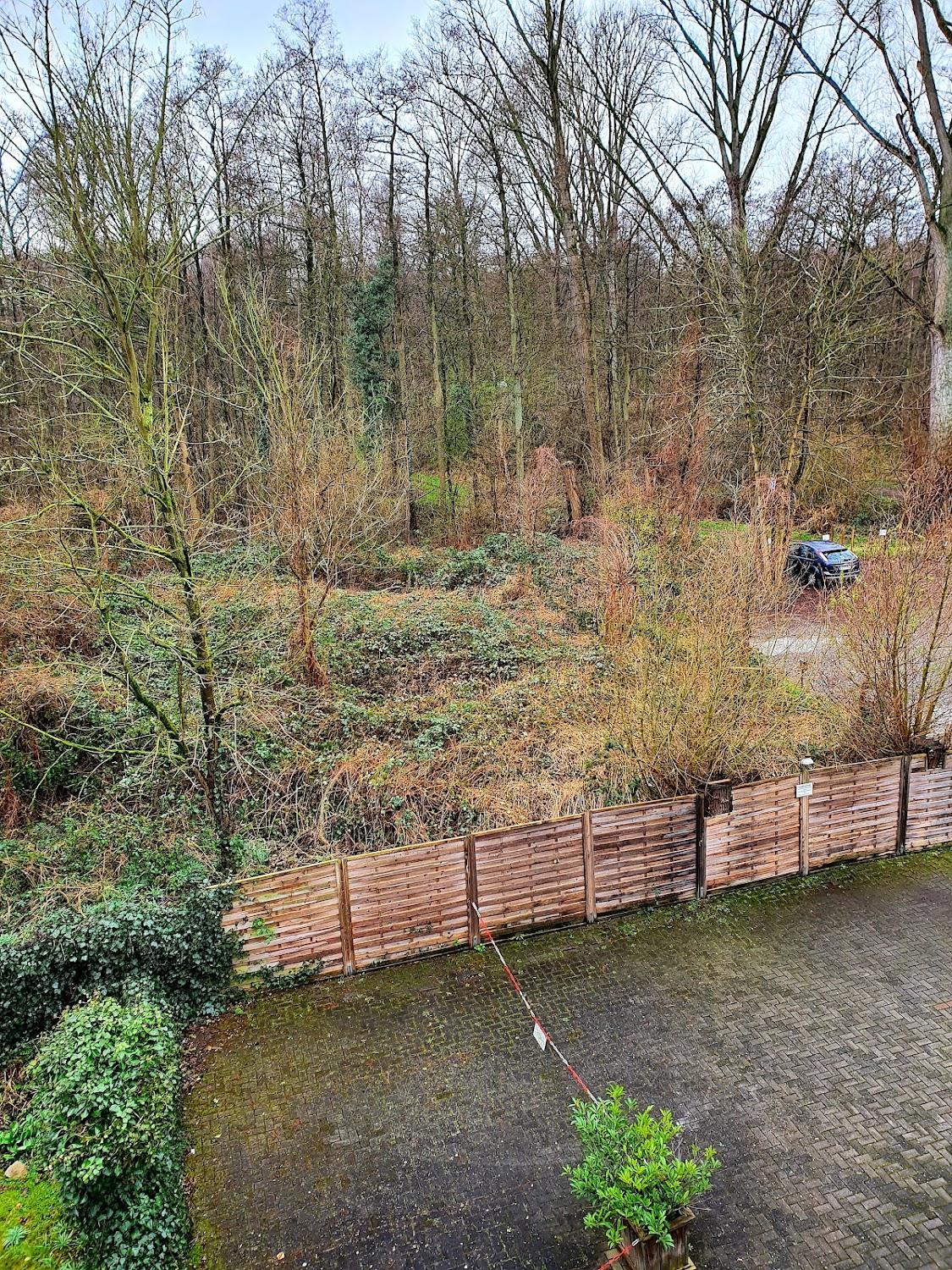 Cover Image for Waldhotel Unterbach