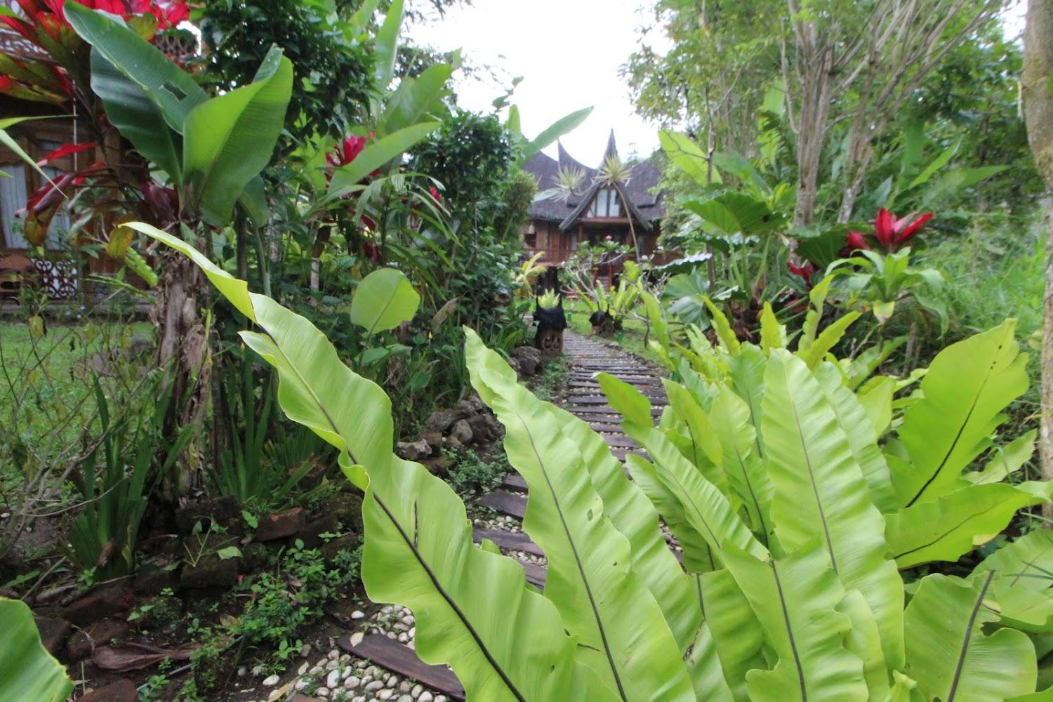 Cover Image for Padi Ecolodge
