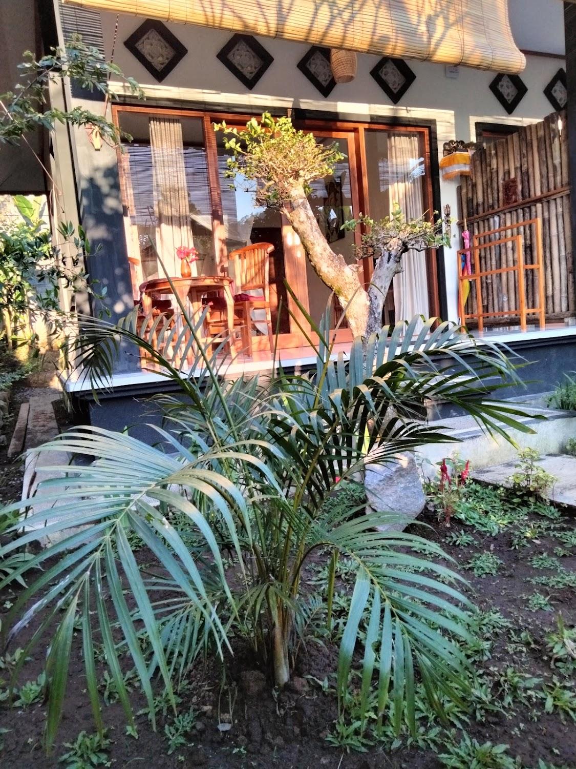 Cover Image for Buntera Homestay Sidemen