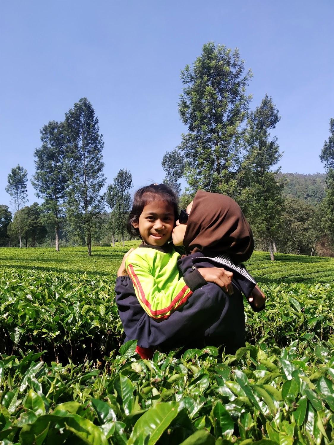 Cover Image for Ciwidey Gambung