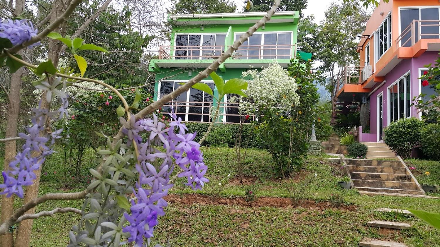 Cover Image for ภูสายหมอก