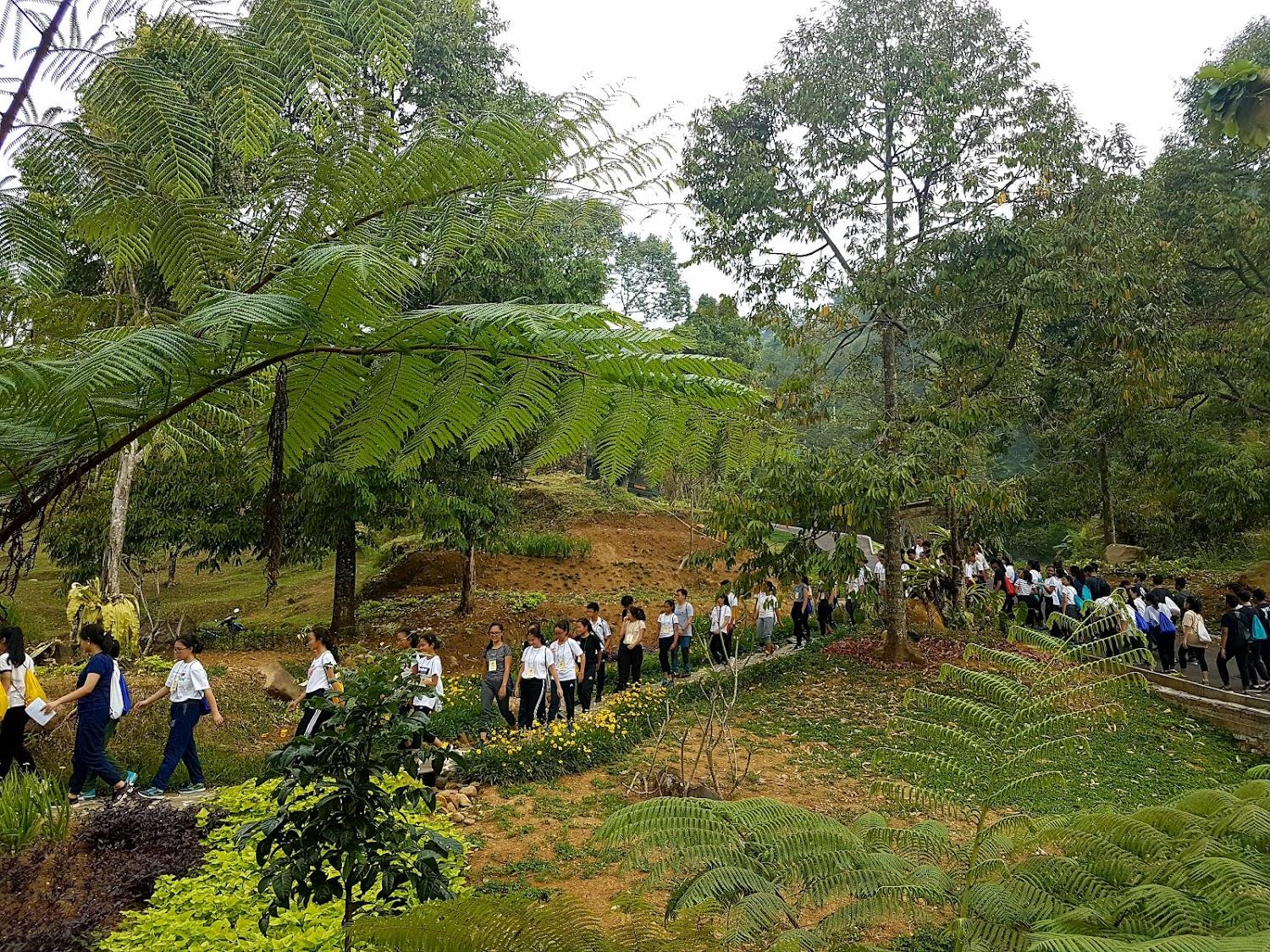 Cover Image for GGCA Gunung Geulis Camp Area