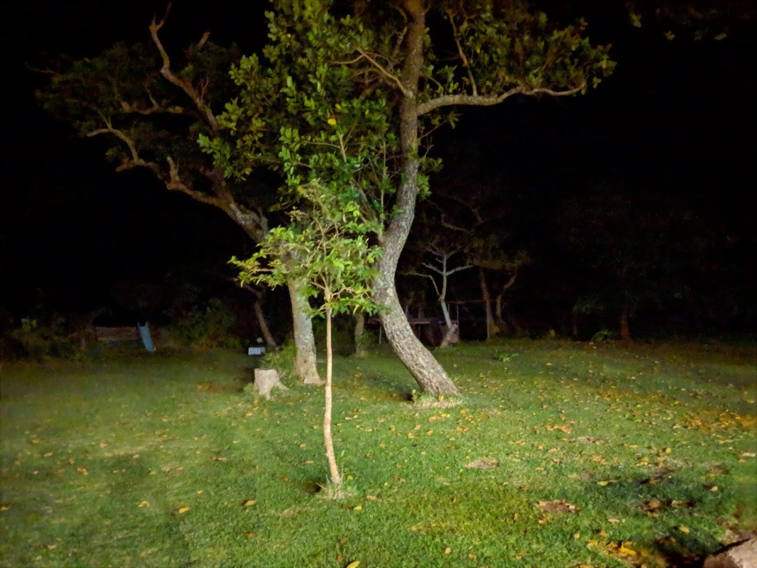 Cover Image for Uminoie Painukaji
