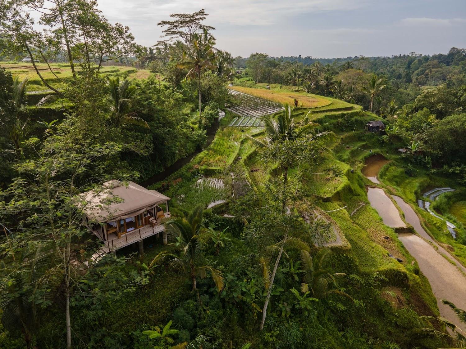 Cover Image for Nadi Nature Resort