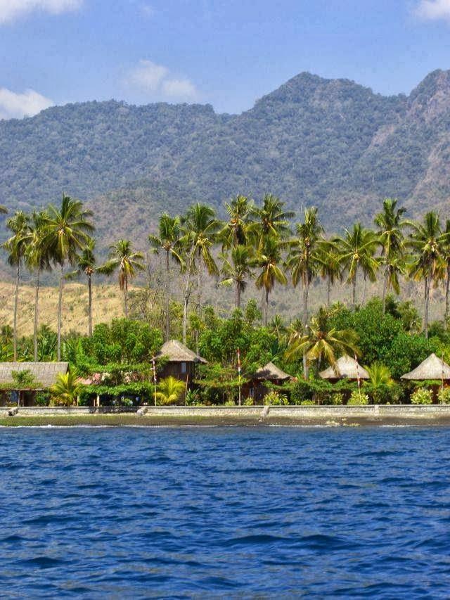 Cover Image for North Bali Divecenter (PT Yoniso Manasikara)