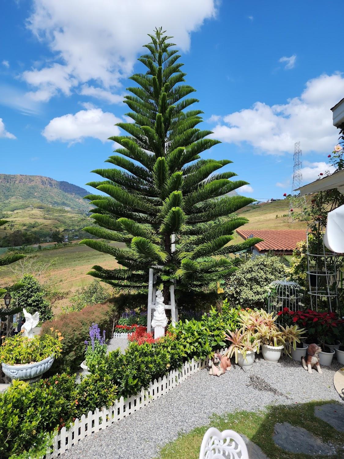 Cover Image for Prim's Cottage Khaokho พริม คอทเทจ - ที่พักเขาค้อ วัดผาซ่อนแก้ว
