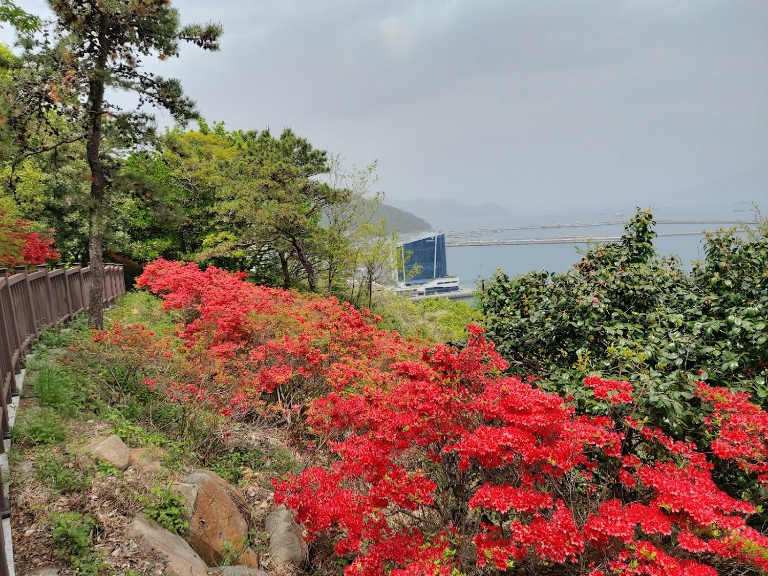 Cover Image for Yeosu Hyu Pension