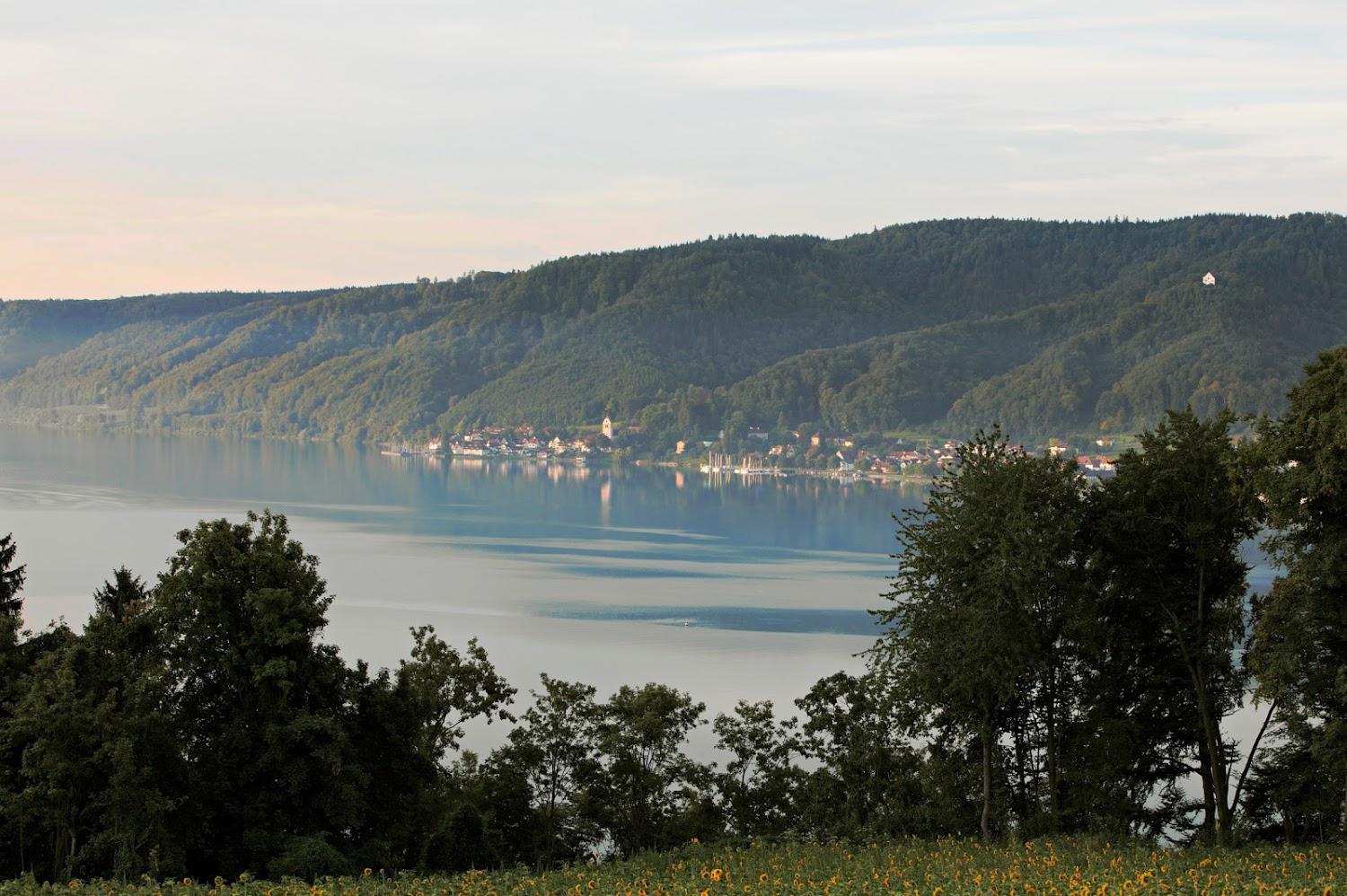 Cover Image for Seehotel Villa Linde, Bodman