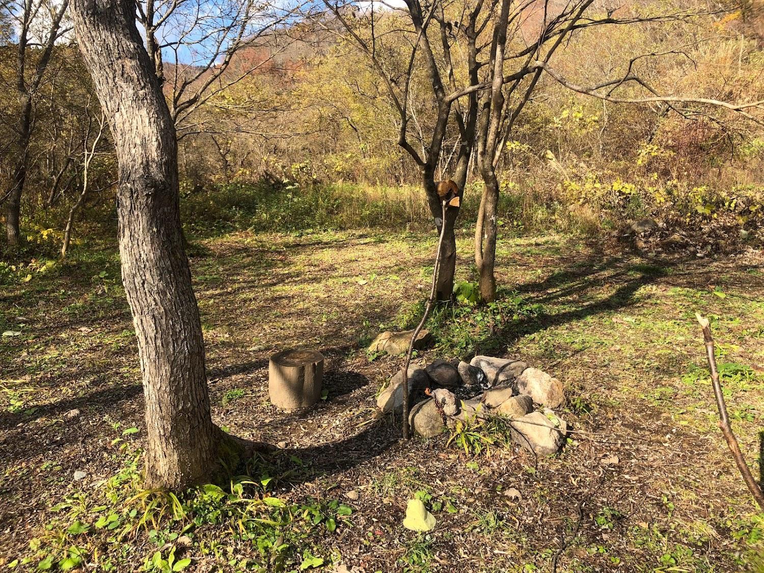 Cover Image for キャンプグランド・ベアーベル