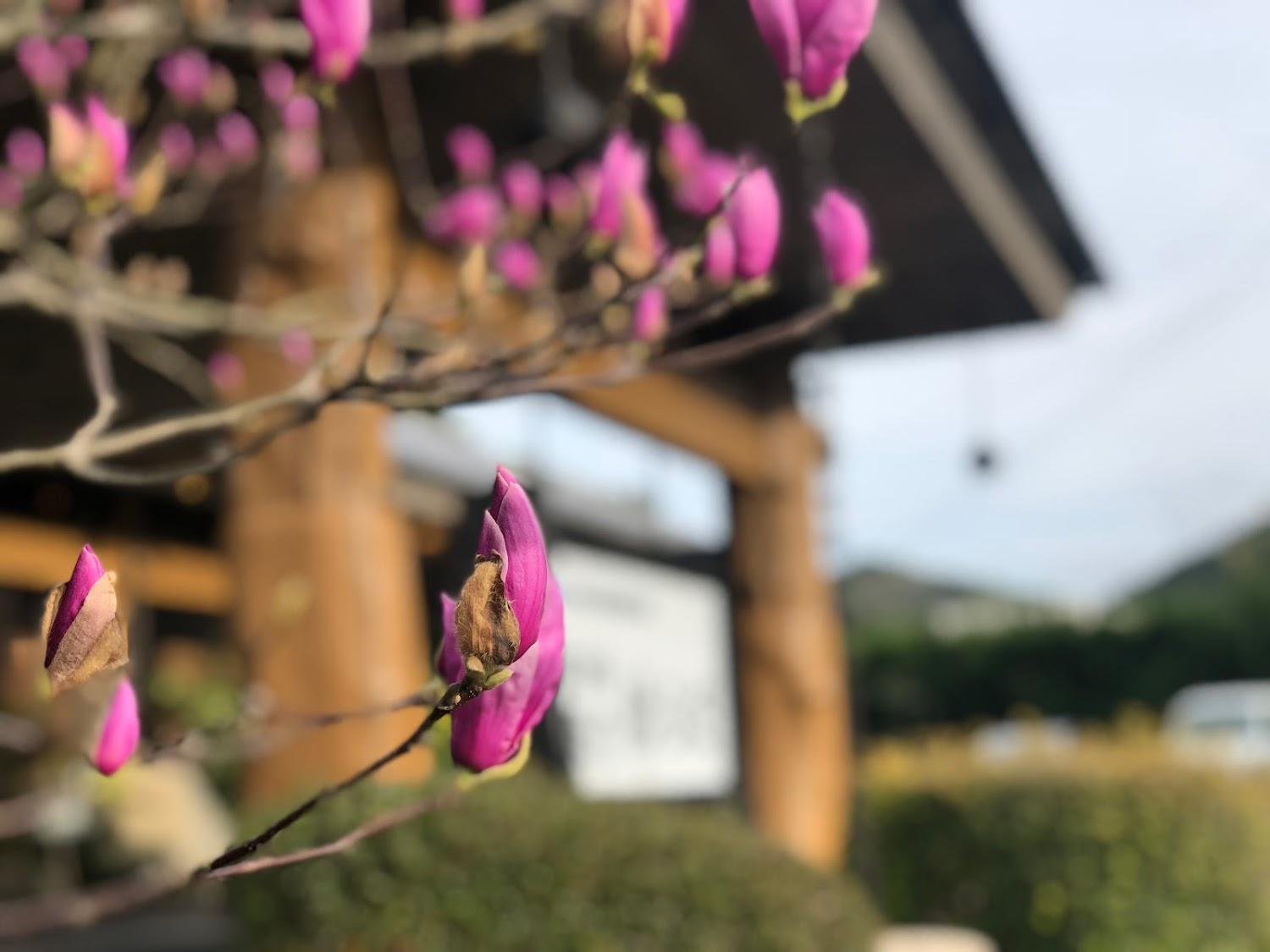 Cover Image for Hotel Nagato Harada