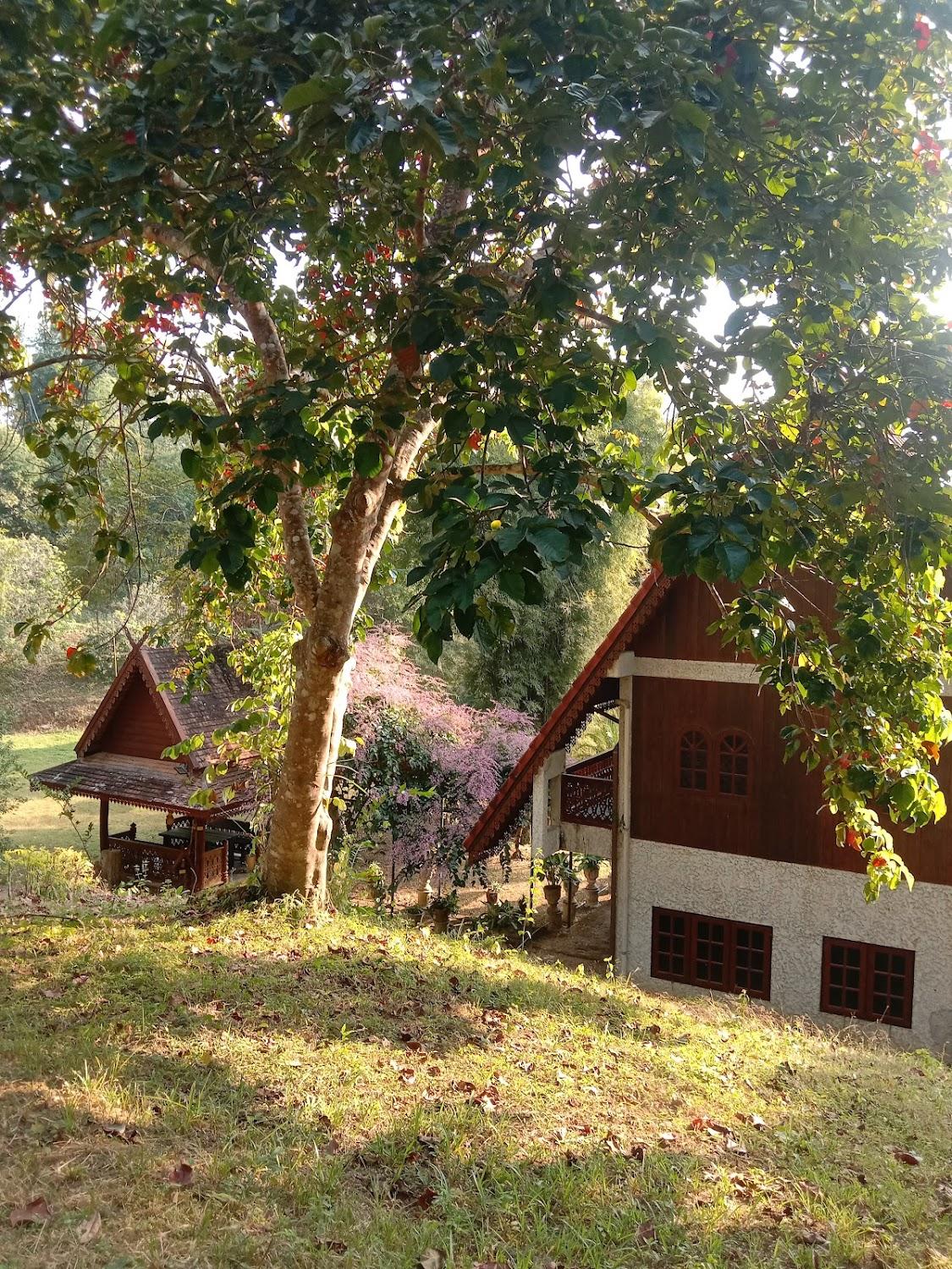 Cover Image for Absolute Thai Hillside Villa Resort