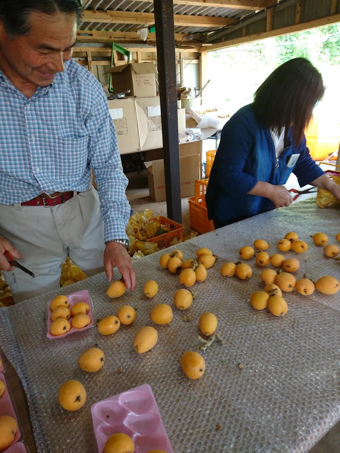 Cover Image for ねしこ交流庵