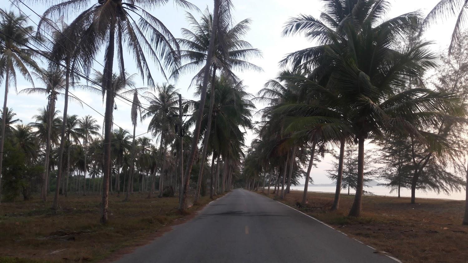 Cover Image for Tharnvara Beach Resort