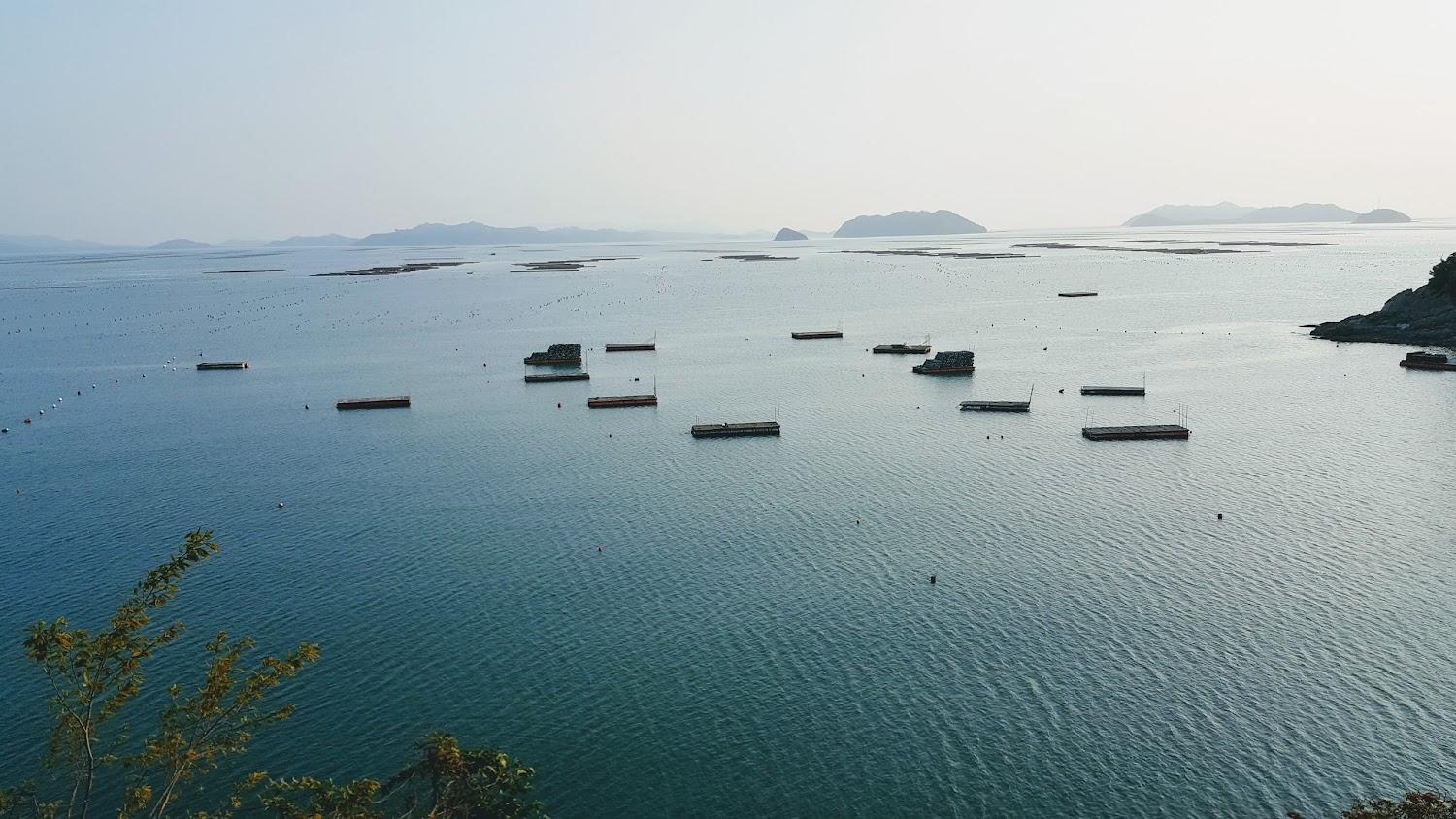 Cover Image for 갯바람펜션