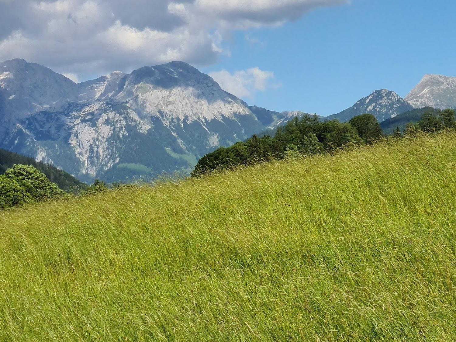 Cover Image for Haus Panorama