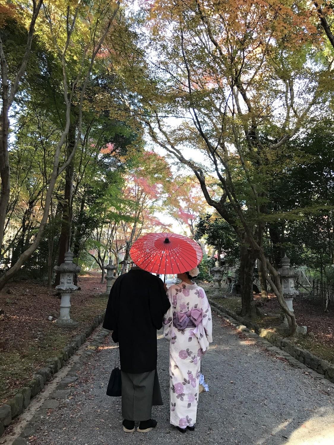Cover Image for Yamano