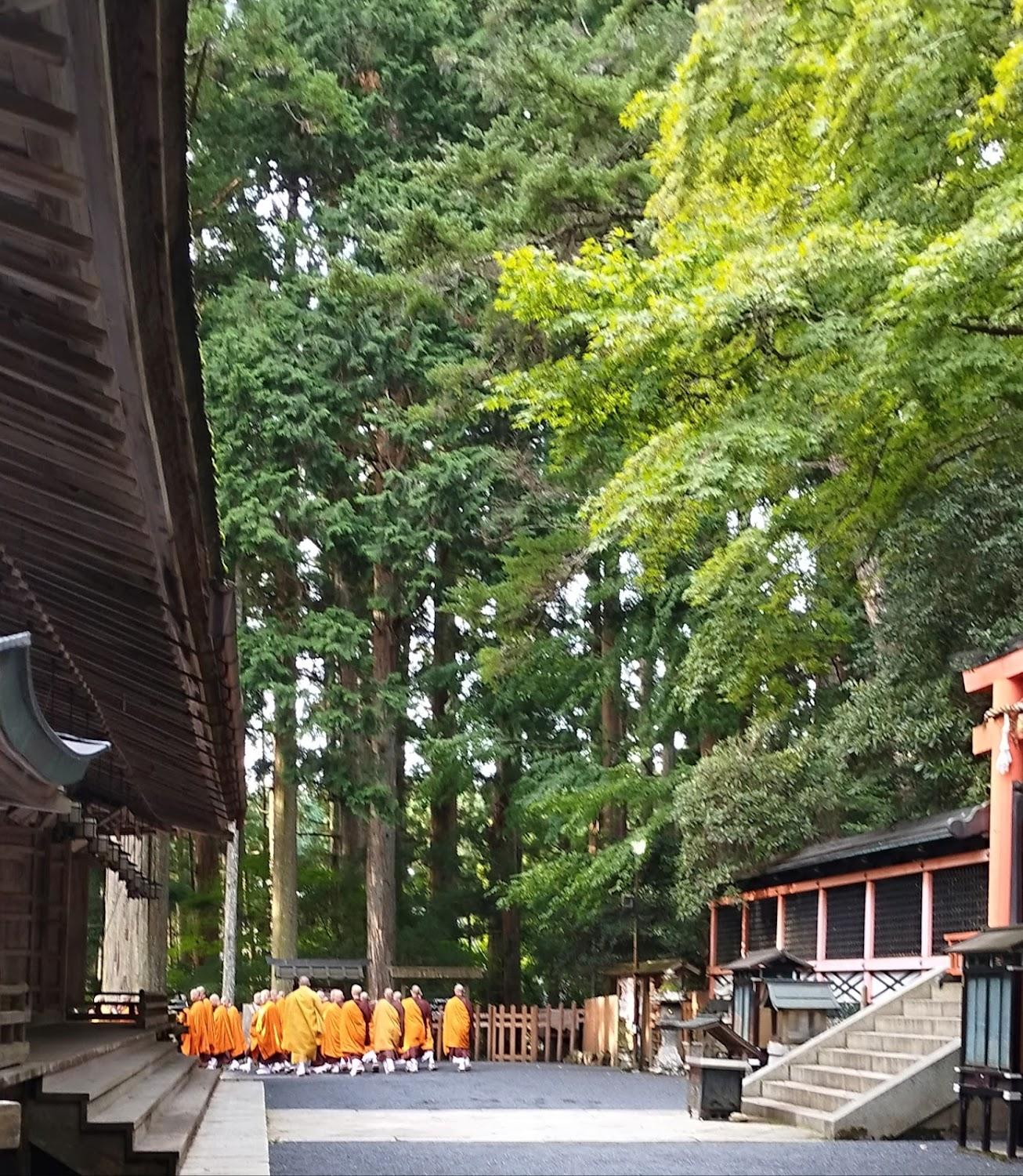 Cover Image for koyasan