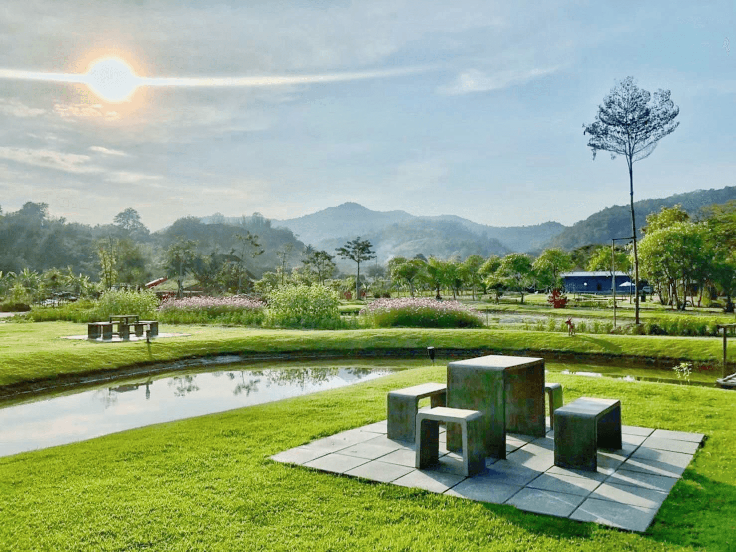 Cover Image for 4seas Mountainview