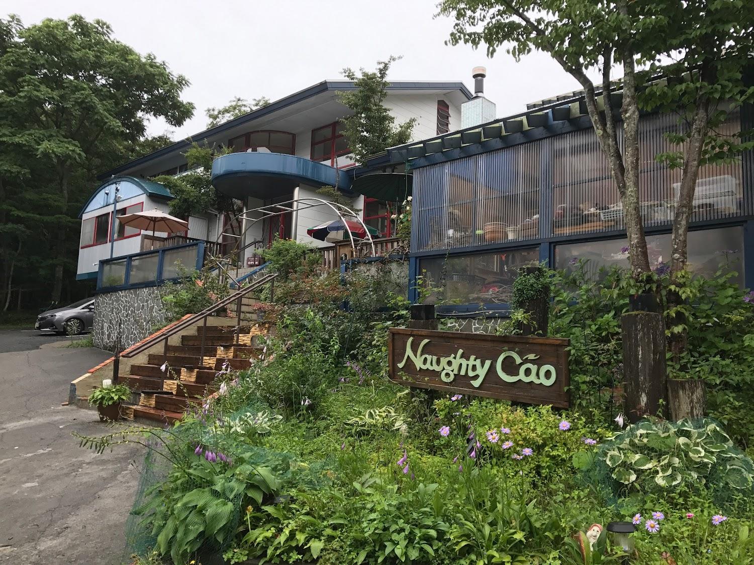 Cover Image for Naughty Cao