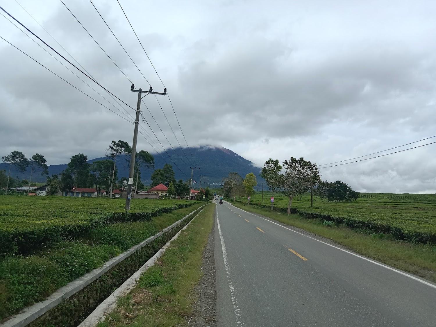 Cover Image for Homestay Tiga Putra Kerinci Jambi