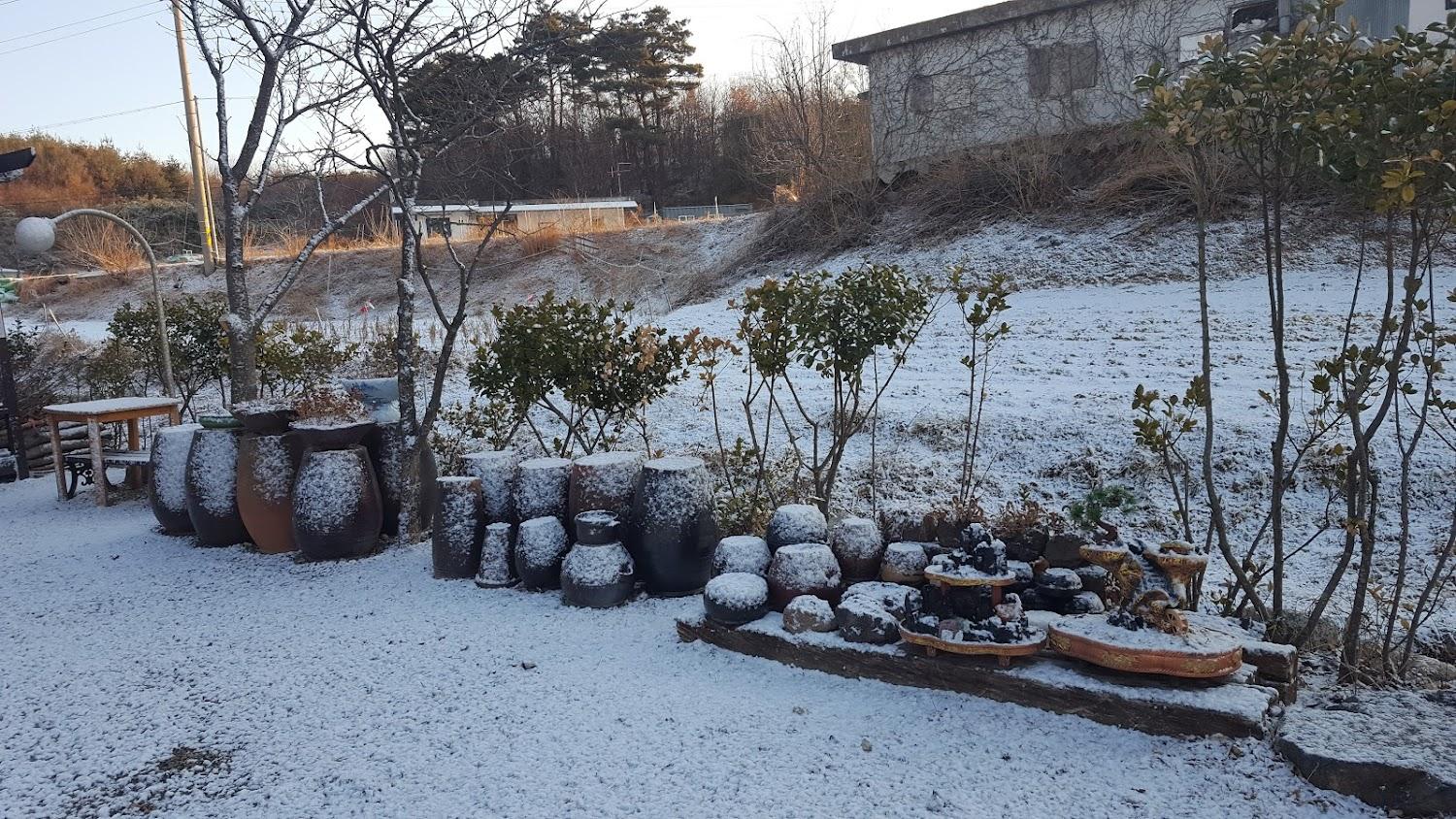 Cover Image for 노란펜션