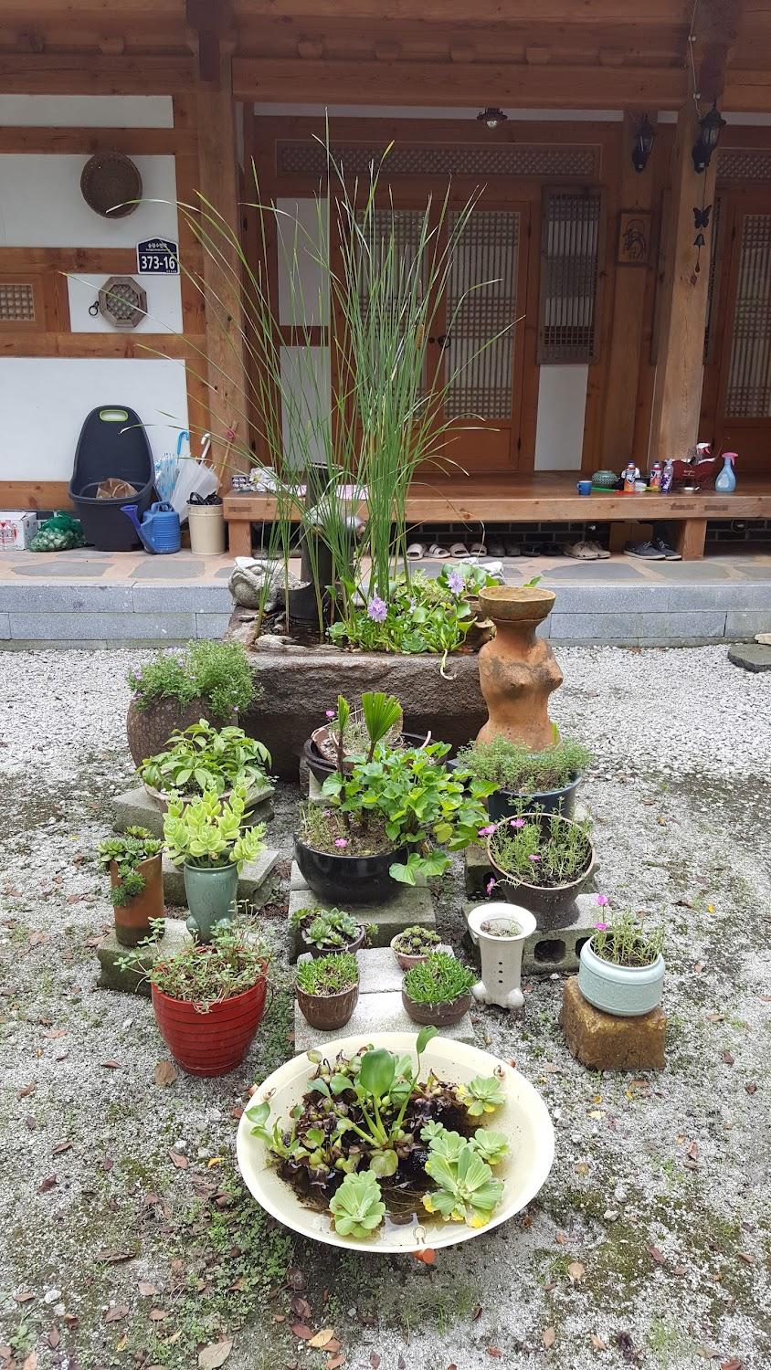 Cover Image for 완주 글램핑&호연재