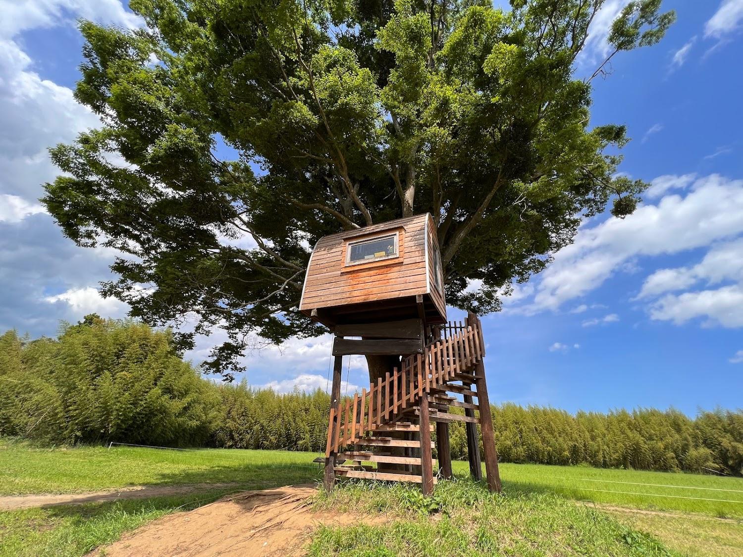 Cover Image for First star Village