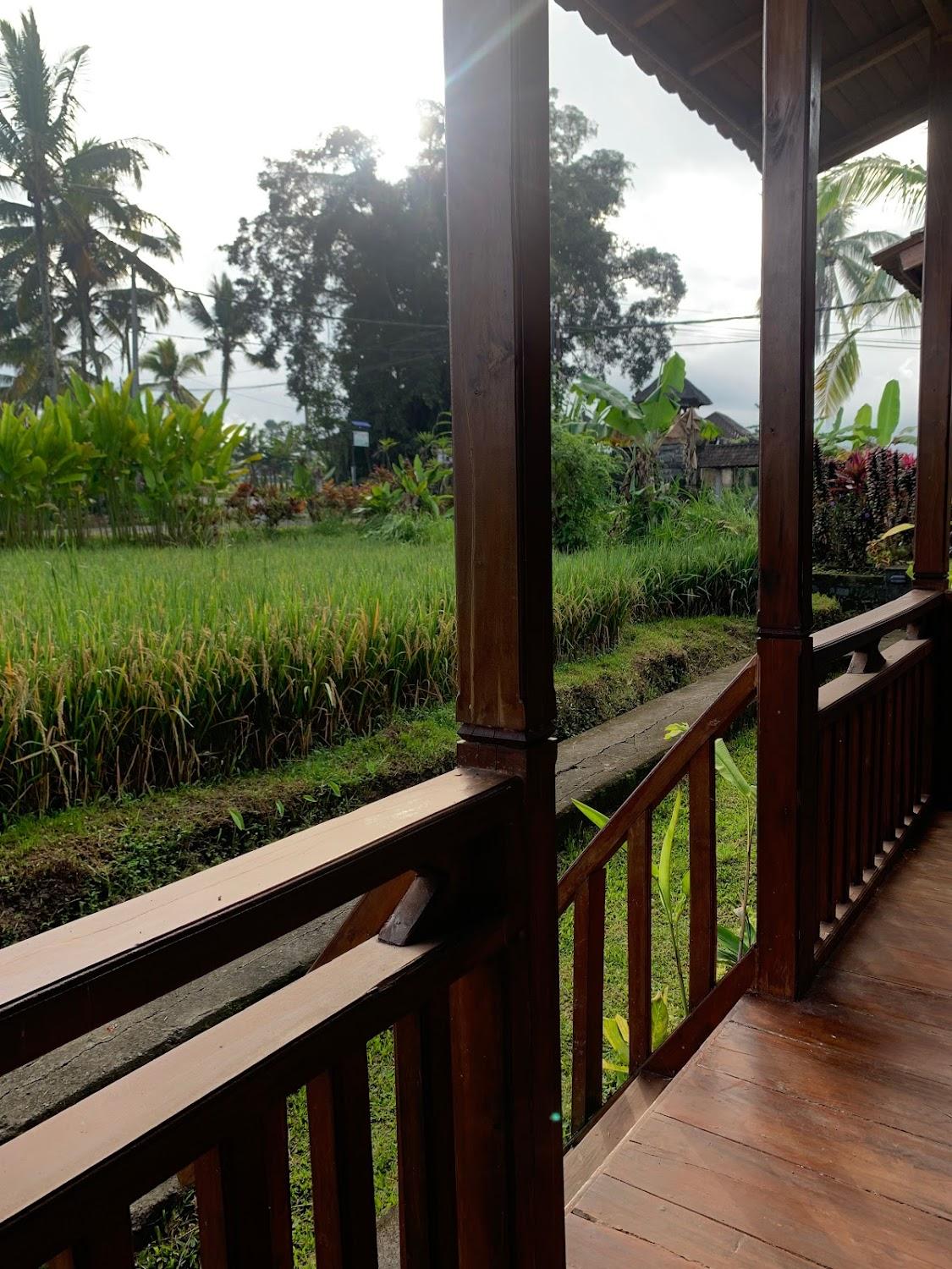 Cover Image for Ayu Guesthouse
