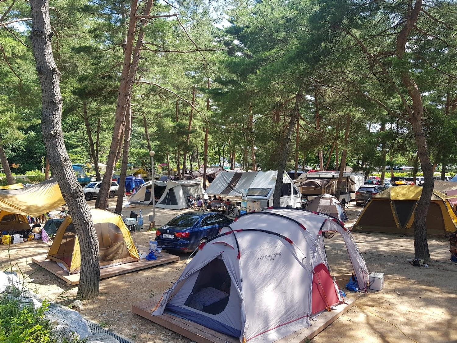 Cover Image for 홍천 용오름캠핑장