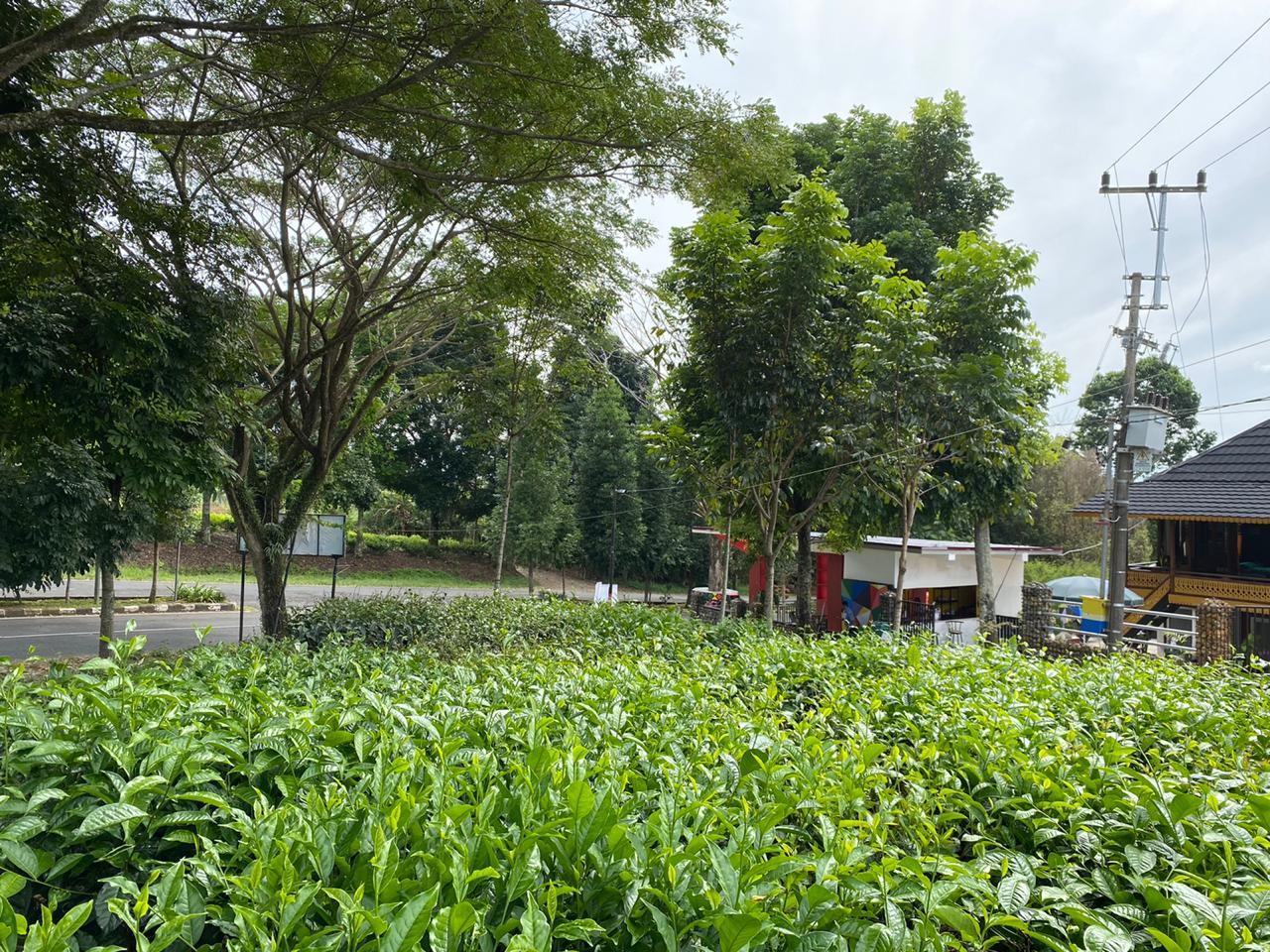 Cover Image for Villa Rumah Terbalik Pagar Alam