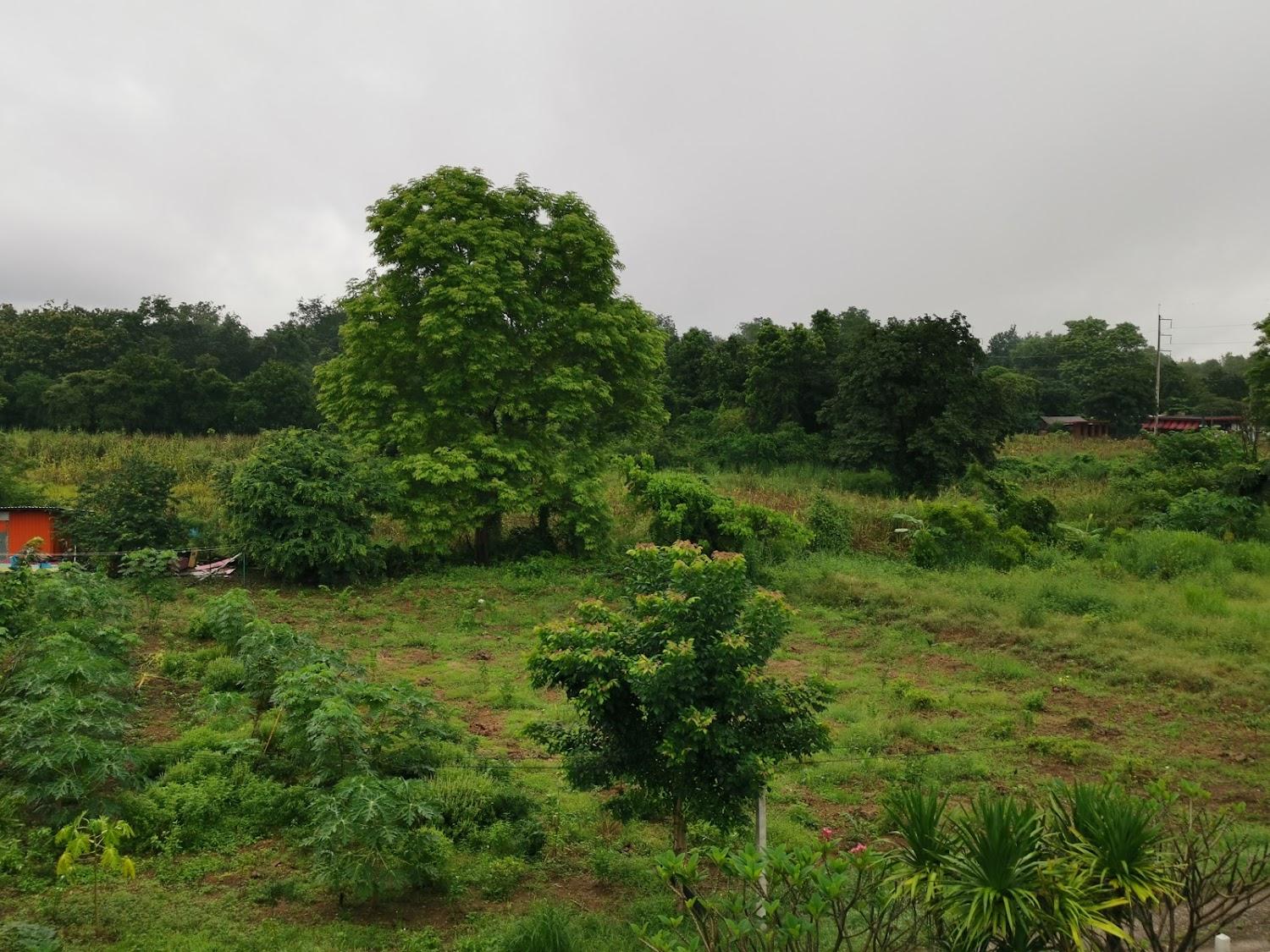 Cover Image for ภูตะวัน รีสอร์ท