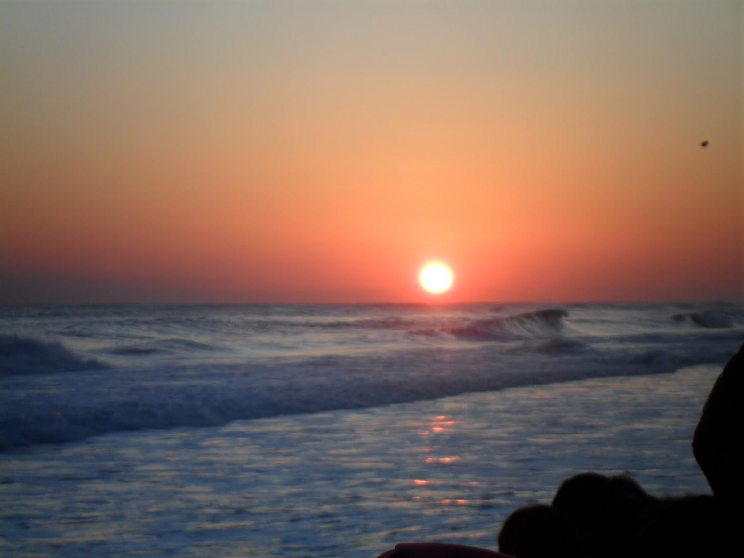 Cover Image for 씨젠콘도텔