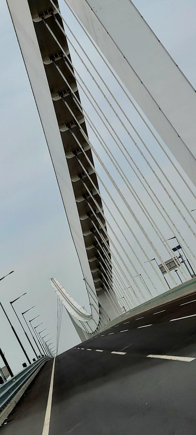 Cover Image for 에덴산장