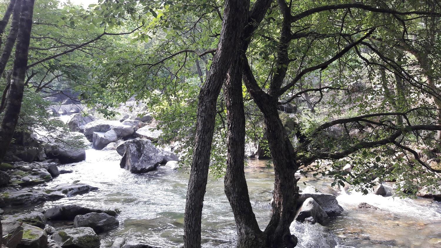 Cover Image for 만산고을펜션